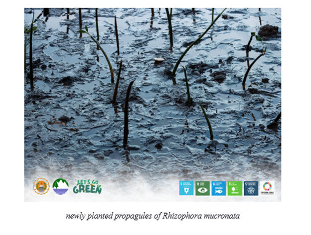 2025 Month of the Ocean Wraps Up with Mangrove Tree Planting and Coastal Clean-up in Clarin